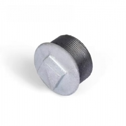 Malleable Cast Iron,SS304,SS316 Plug